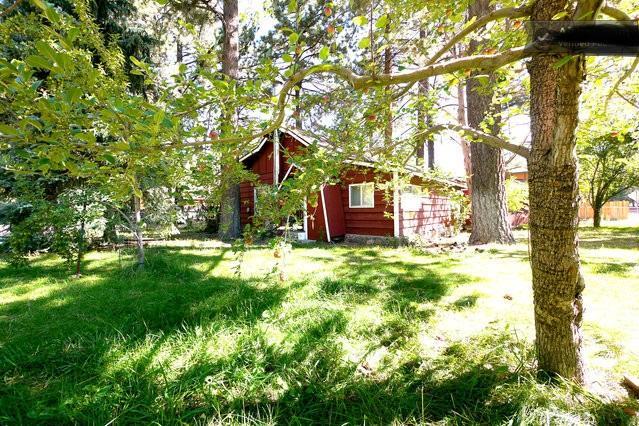 Green Cabin in Big Bear Lake Big Bear City Buitenkant foto